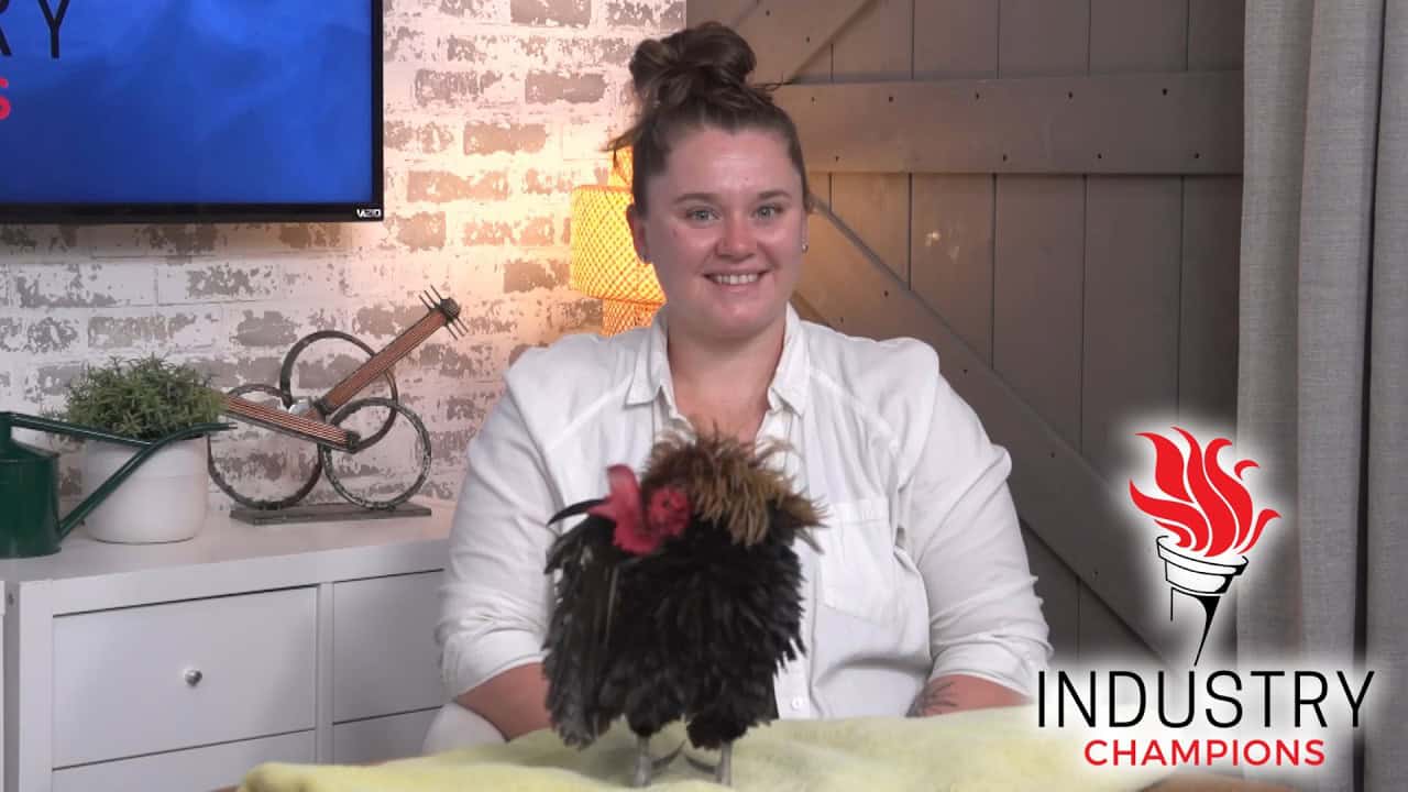 Industry Champions with Ann-Marie Sheehan of Sheehan Homestead LLC DBA Critters-On-Call